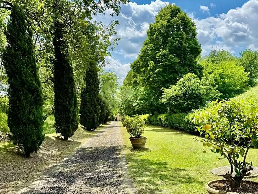 Immagine 5 di Villa in vendita  a Capannori