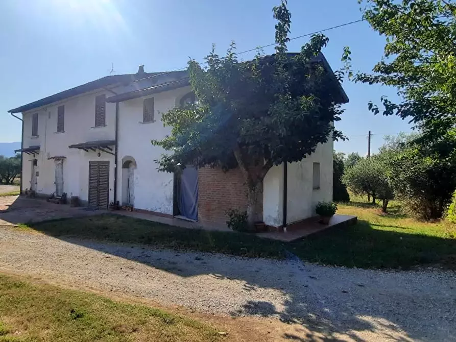 Immagine 2 di Casa indipendente in vendita  a Castelfranco Di Sotto