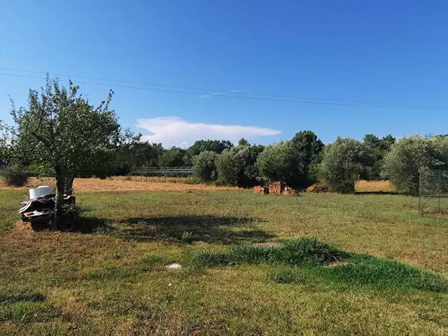 Immagine 17 di Casa indipendente in vendita  a Castelfranco Di Sotto