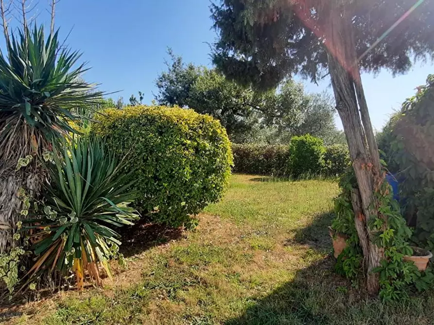 Immagine 5 di Casa indipendente in vendita  a Castelfranco Di Sotto