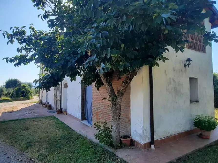 Immagine 6 di Casa indipendente in vendita  a Castelfranco Di Sotto