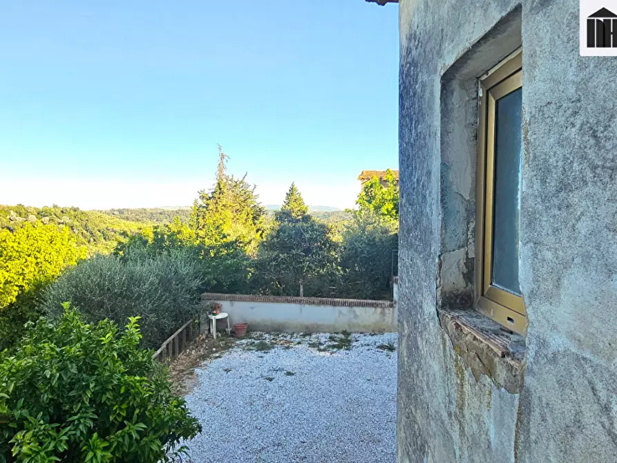 Immagine 17 di Rustico / casale in vendita  a San Miniato