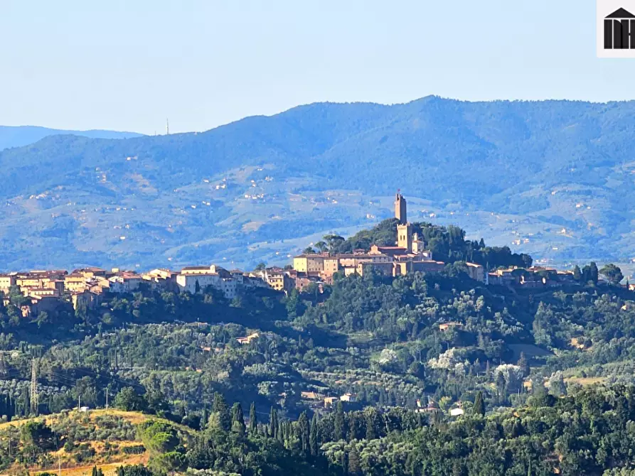 Immagine 25 di Rustico / casale in vendita  a San Miniato