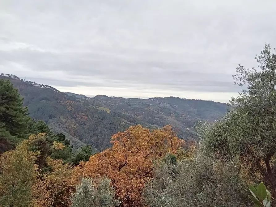 Immagine 15 di Villa in vendita  a Camaiore