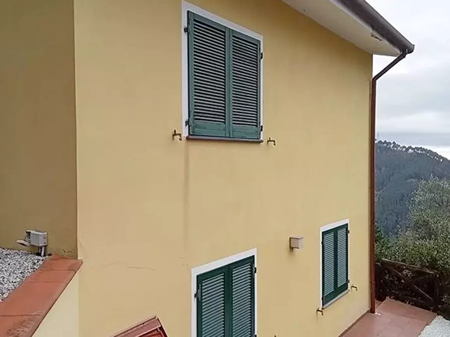 Immagine 4 di Villa in vendita  a Camaiore