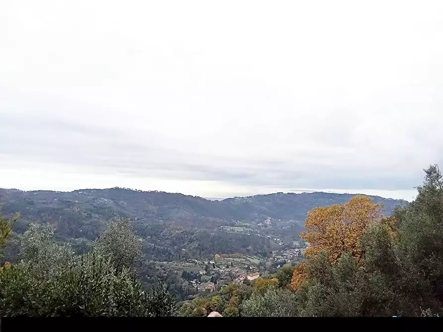 Immagine 16 di Villa in vendita  a Camaiore