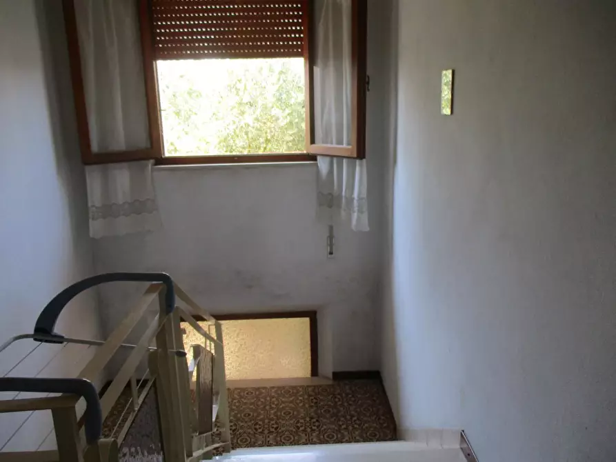 Immagine 10 di Terratetto in vendita  a Bientina