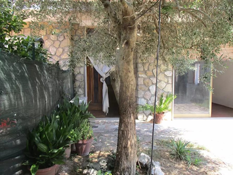 Immagine 2 di Terratetto in vendita  a Bientina