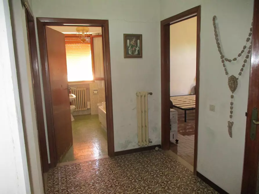 Immagine 8 di Terratetto in vendita  a Bientina