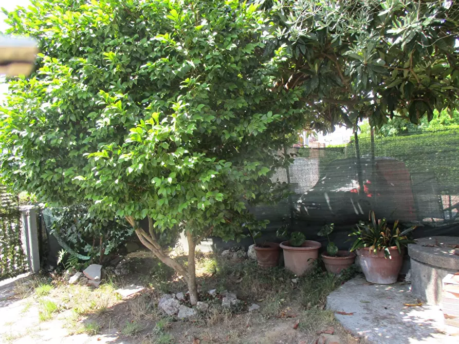 Immagine 1 di Terratetto in vendita  a Bientina