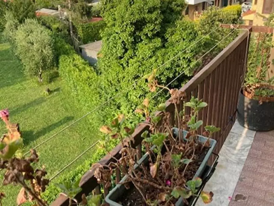 Immagine 8 di Appartamento in vendita  a Pisa