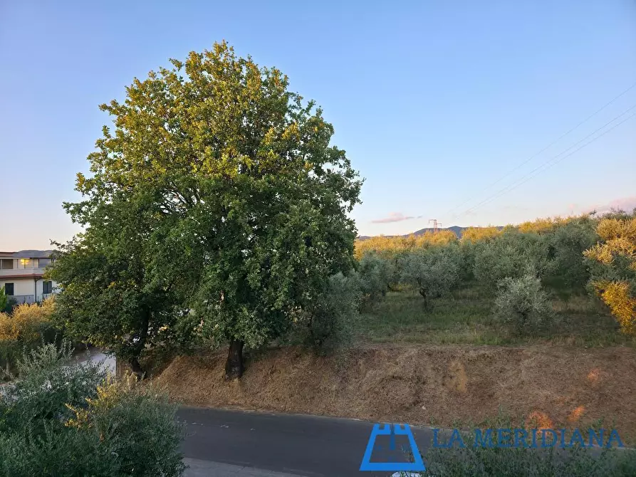 Immagine 33 di Appartamento in vendita  a Vinci