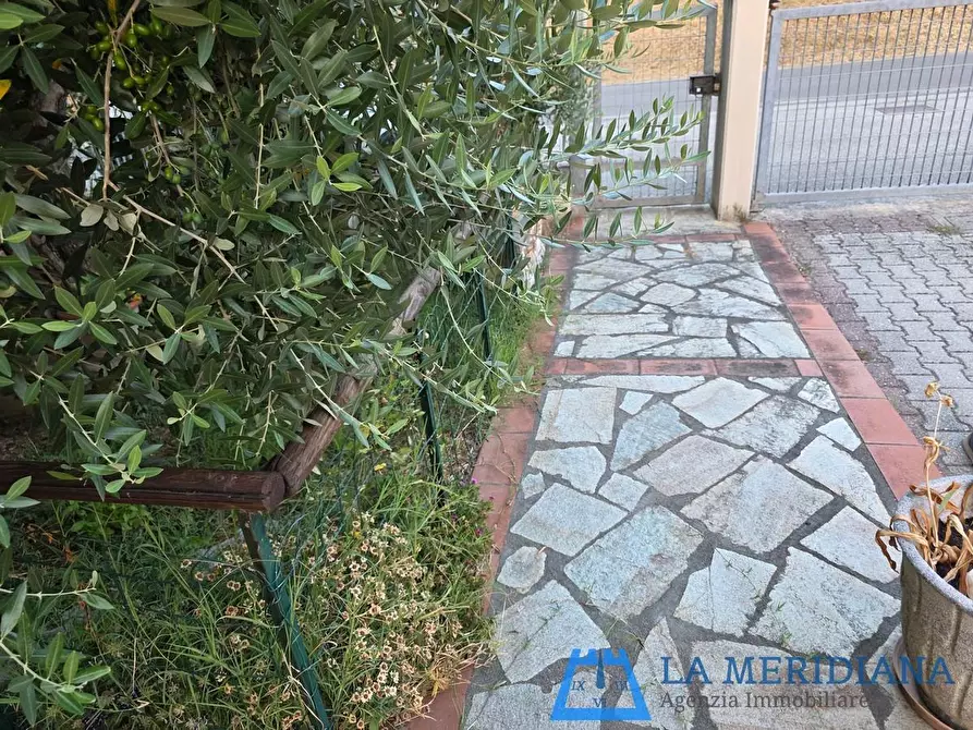 Immagine 25 di Appartamento in vendita  a Vinci