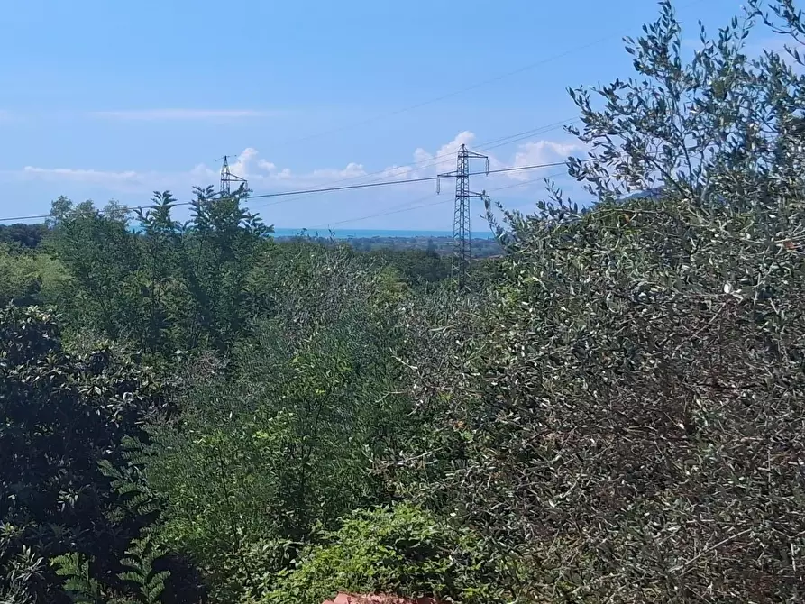 Immagine 3 di Porzione di casa in vendita  a Sarzana