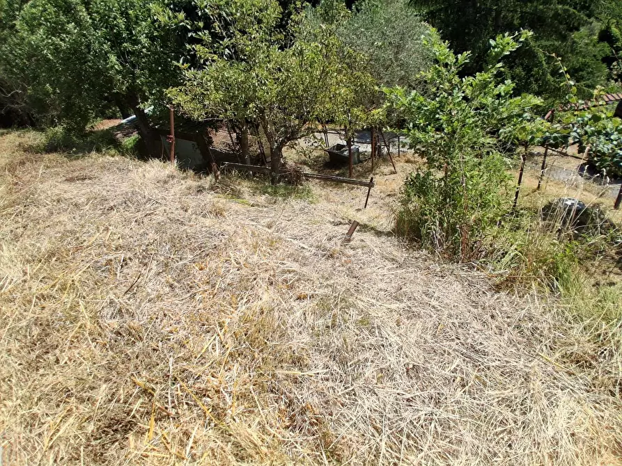 Immagine 6 di Porzione di casa in vendita  a Sarzana