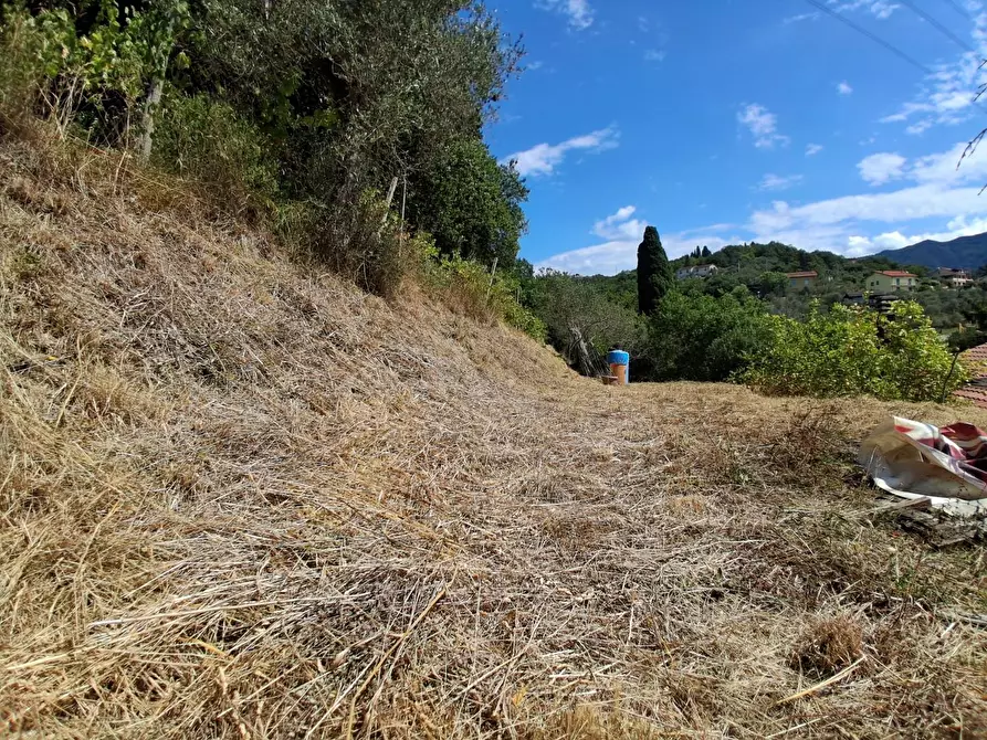 Immagine 5 di Porzione di casa in vendita  a Sarzana