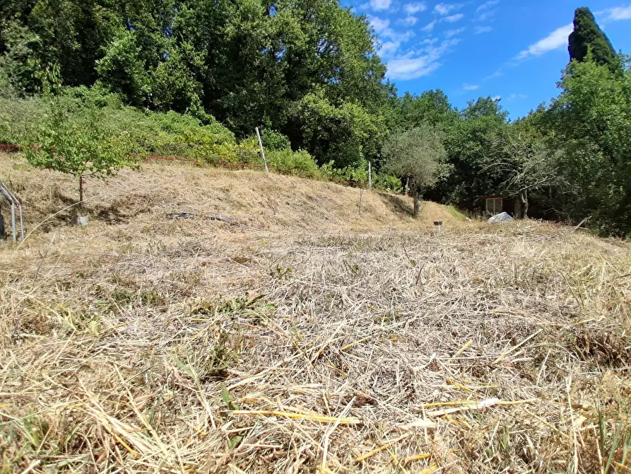 Immagine 7 di Porzione di casa in vendita  a Sarzana