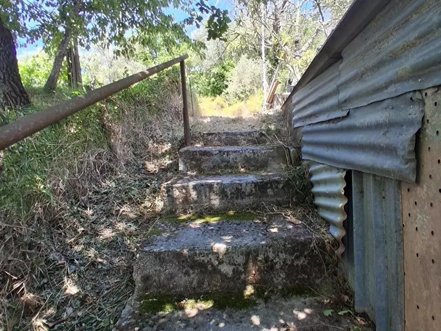 Immagine 4 di Porzione di casa in vendita  a Sarzana