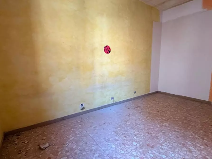 Immagine 16 di Terratetto in vendita  a Viareggio