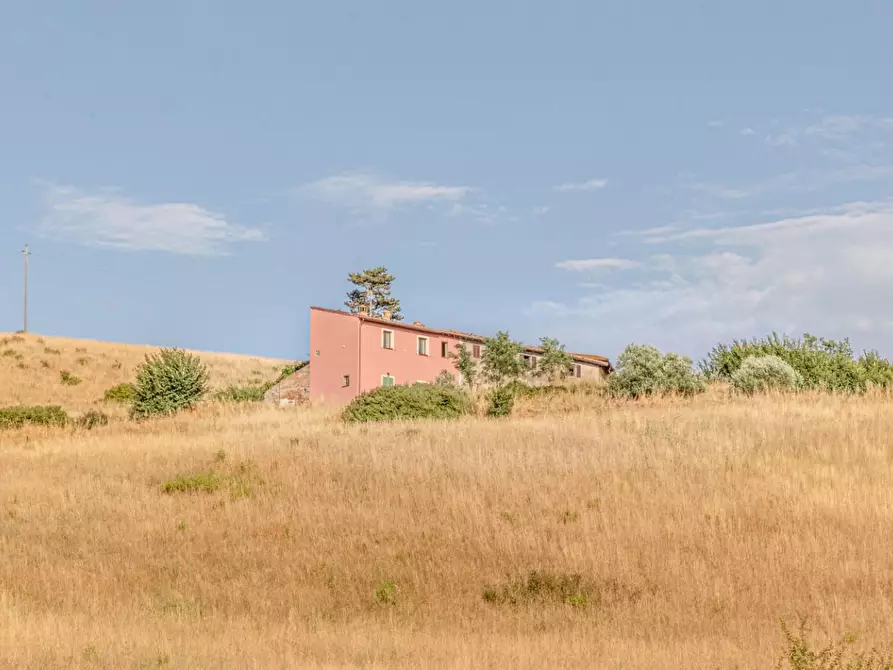 Immagine 62 di Porzione di casa in vendita  a Montaione