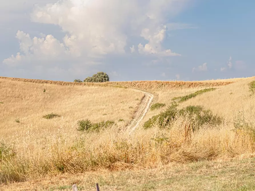 Immagine 61 di Porzione di casa in vendita  a Montaione