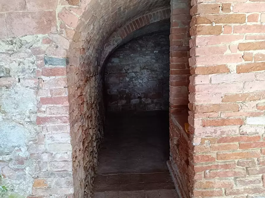 Immagine 16 di Terratetto in vendita  a Crespina Lorenzana