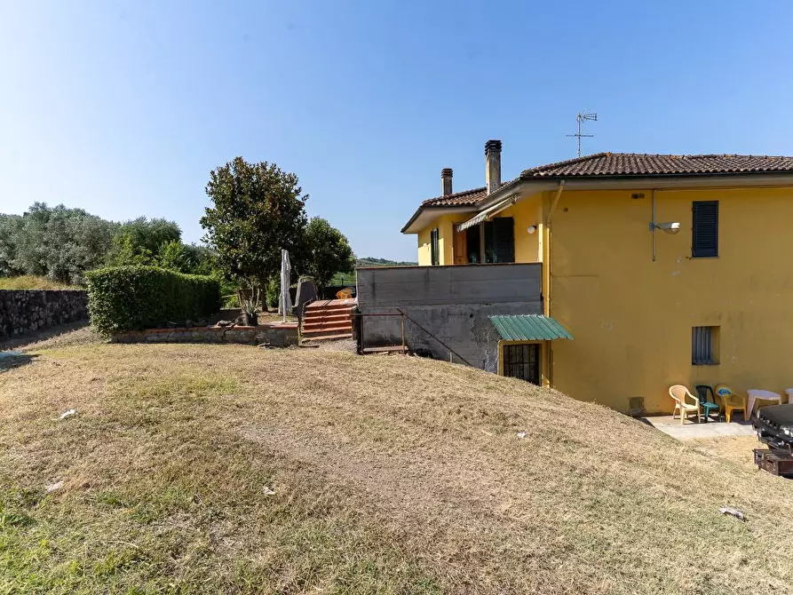 Immagine 11 di Azienda agricola in vendita  a Vinci