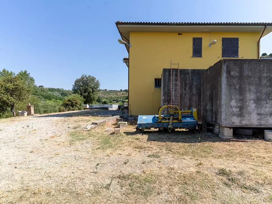 Immagine 16 di Azienda agricola in vendita  a Vinci