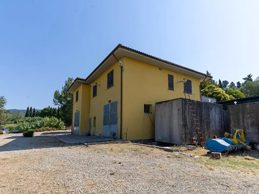 Immagine 17 di Azienda agricola in vendita  a Vinci