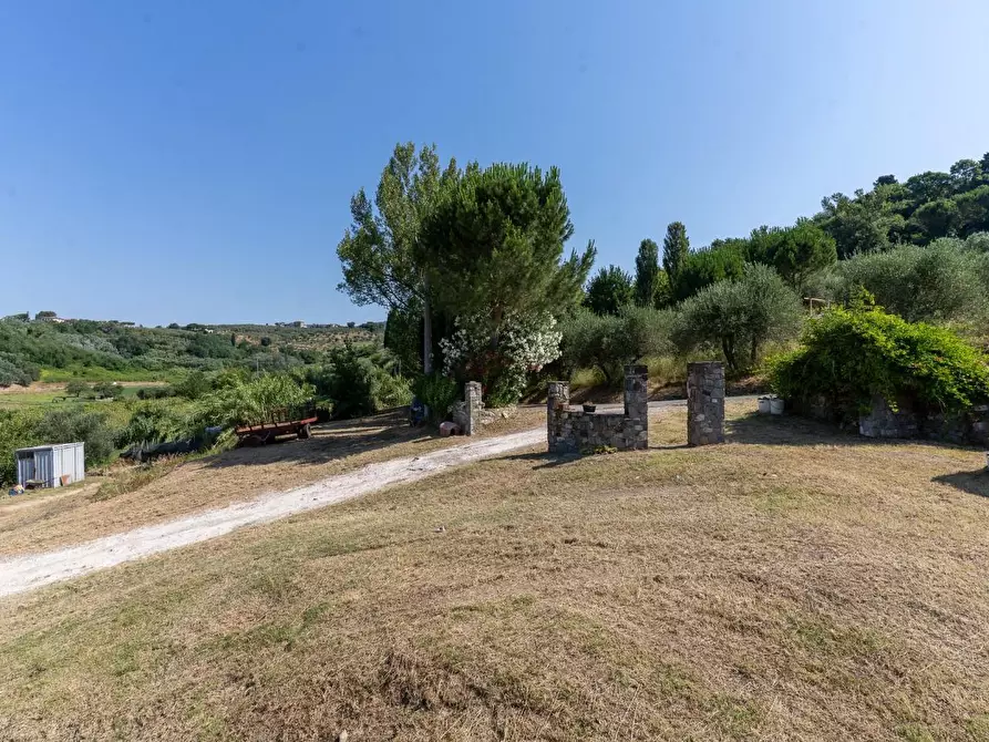 Immagine 21 di Azienda agricola in vendita  a Vinci