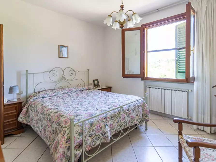 Immagine 42 di Azienda agricola in vendita  a Vinci