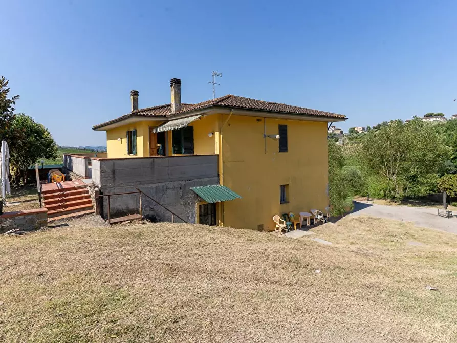 Immagine 12 di Azienda agricola in vendita  a Vinci