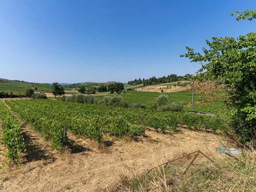 Immagine 6 di Azienda agricola in vendita  a Vinci