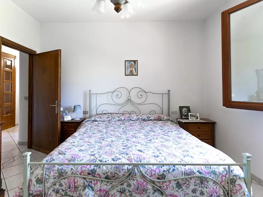 Immagine 41 di Azienda agricola in vendita  a Vinci