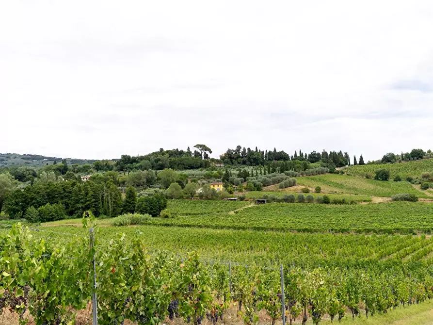 Immagine 1 di Azienda agricola in vendita  a Vinci