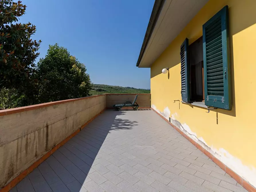 Immagine 8 di Azienda agricola in vendita  a Vinci