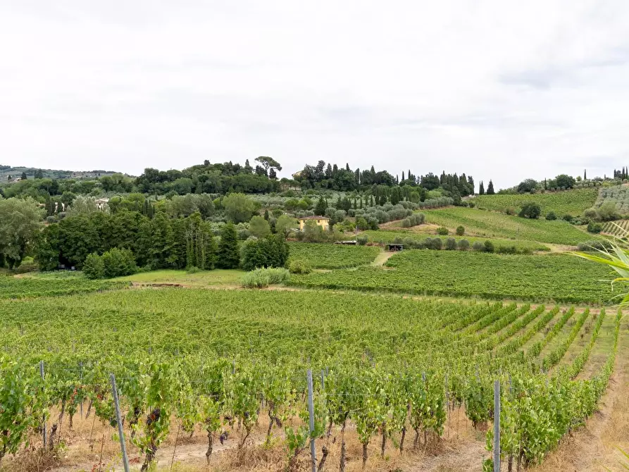 Immagine 2 di Azienda agricola in vendita  a Vinci