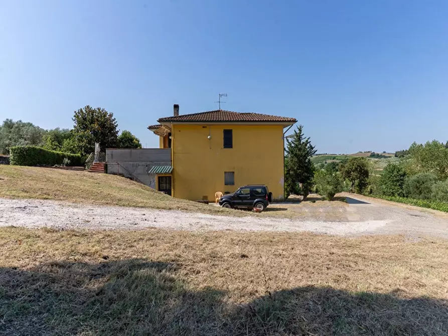 Immagine 14 di Azienda agricola in vendita  a Vinci
