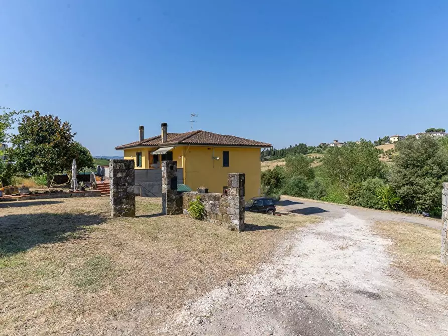 Immagine 13 di Azienda agricola in vendita  a Vinci