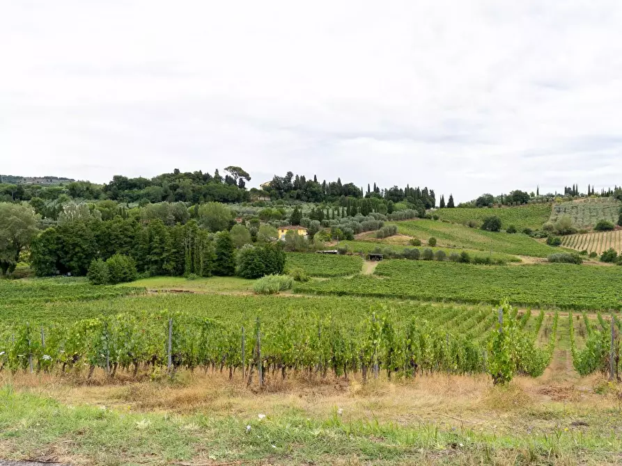 Immagine 53 di Azienda agricola in vendita  a Vinci