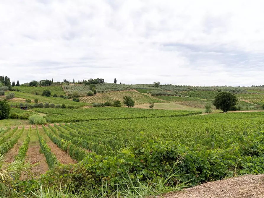 Immagine 4 di Azienda agricola in vendita  a Vinci