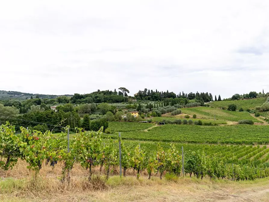 Immagine 52 di Azienda agricola in vendita  a Vinci