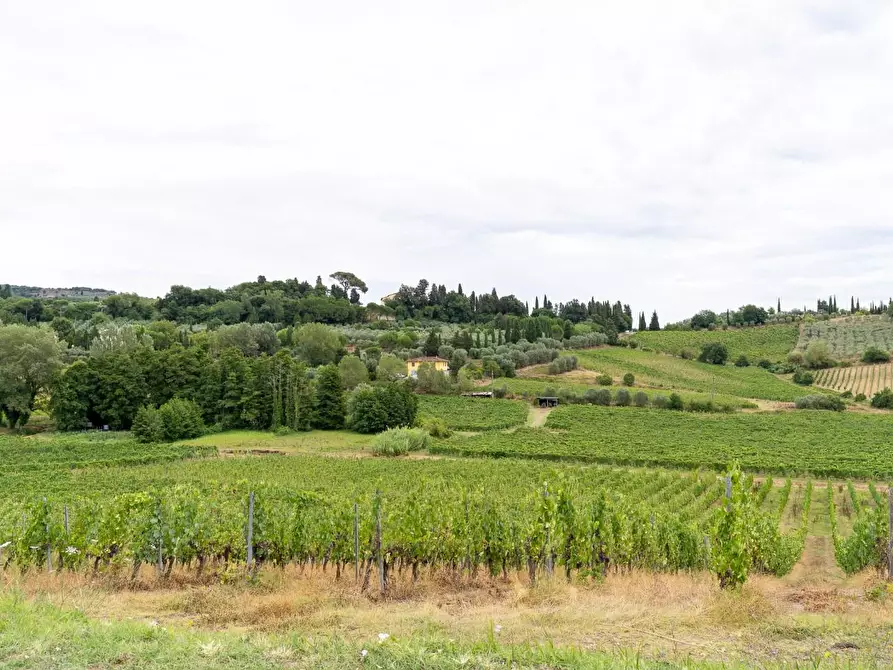 Immagine 3 di Azienda agricola in vendita  a Vinci
