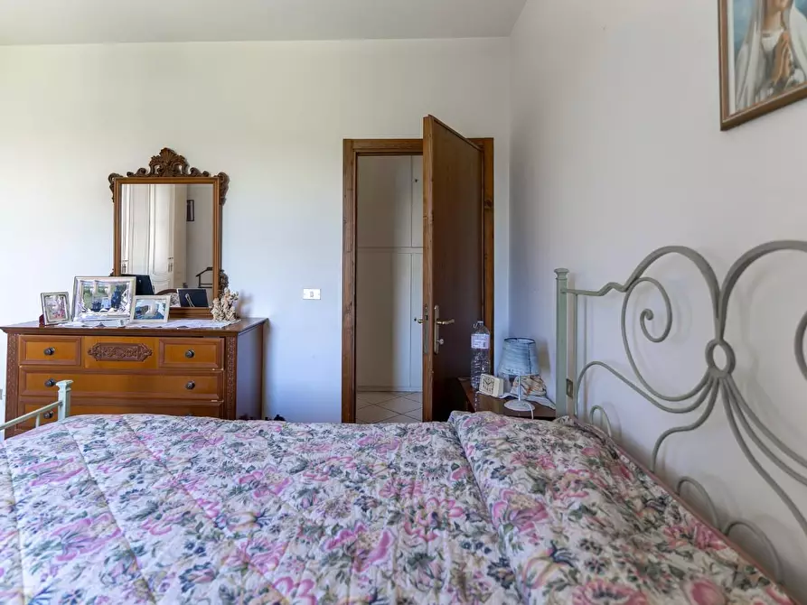 Immagine 44 di Azienda agricola in vendita  a Vinci