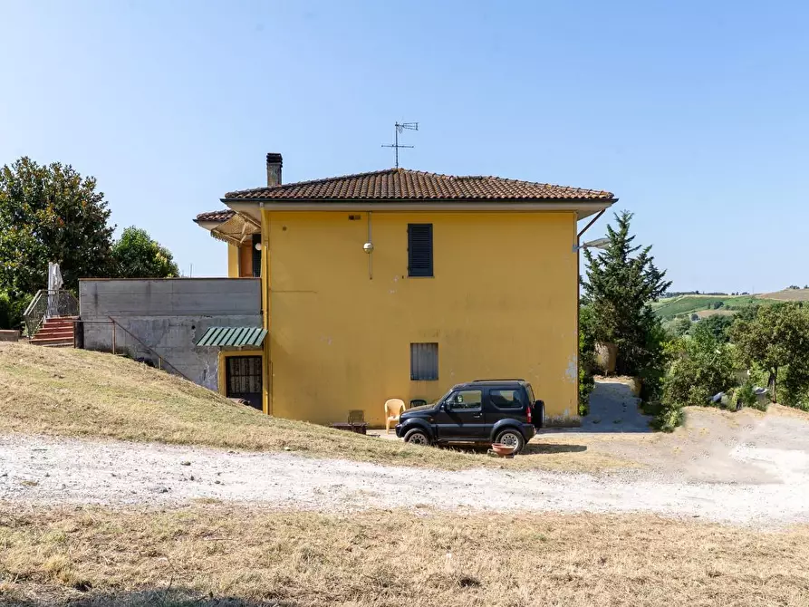 Immagine 15 di Azienda agricola in vendita  a Vinci