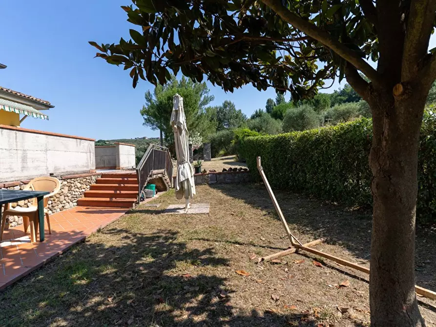 Immagine 22 di Azienda agricola in vendita  a Vinci