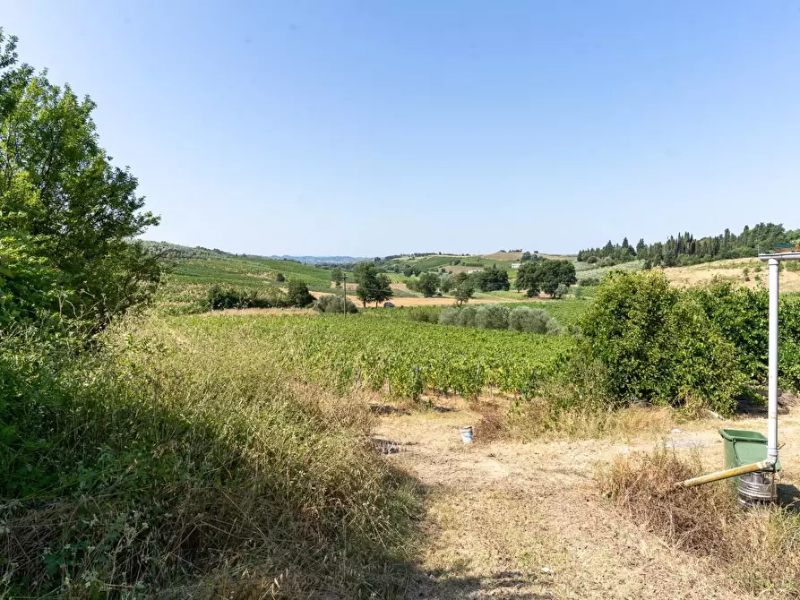 Immagine 54 di Azienda agricola in vendita  a Vinci