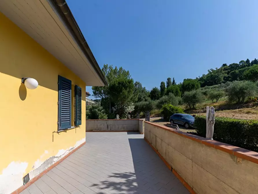 Immagine 9 di Azienda agricola in vendita  a Vinci