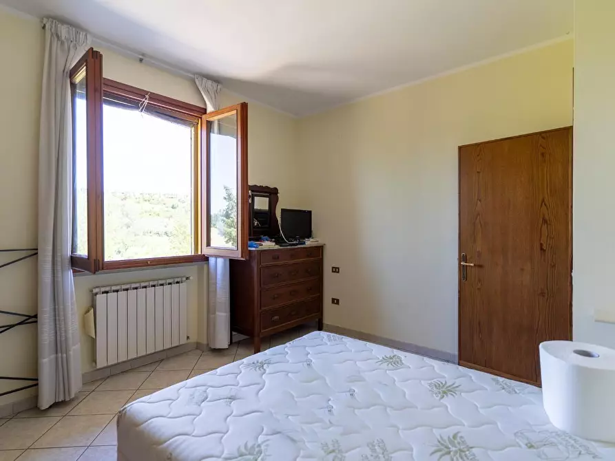 Immagine 50 di Azienda agricola in vendita  a Vinci