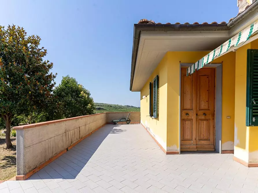 Immagine 7 di Azienda agricola in vendita  a Vinci